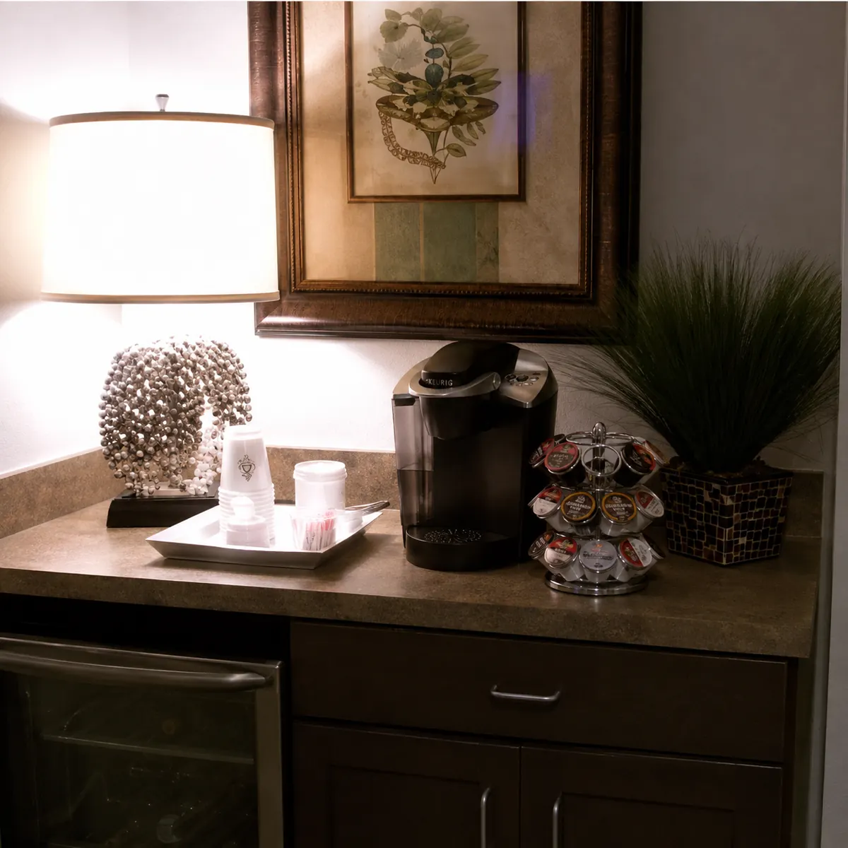 Clean, welcoming patient care area
